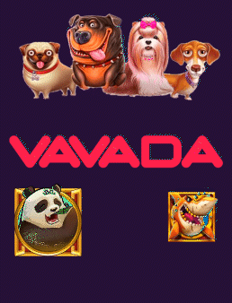 Vavada: Krypto-Casino und Sportwetten